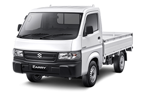 Suzuki NEW CARRY